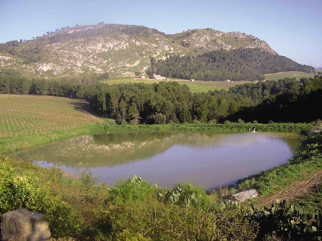 칼라타피미 Agriturismo Tenute Pispisa Segesta 빌라 외부 사진